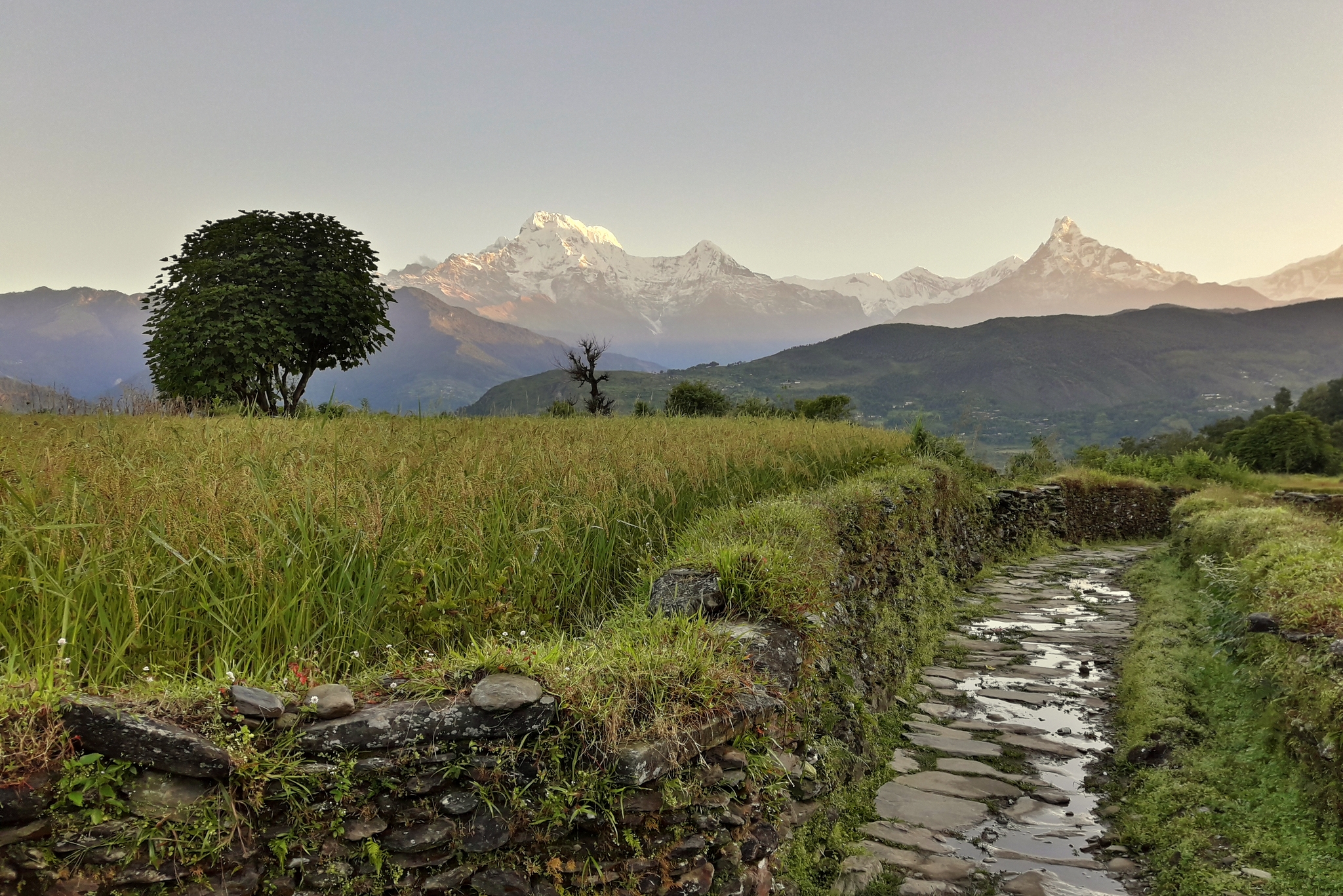 Annapurna Machhapuchhre Trek - 9 days