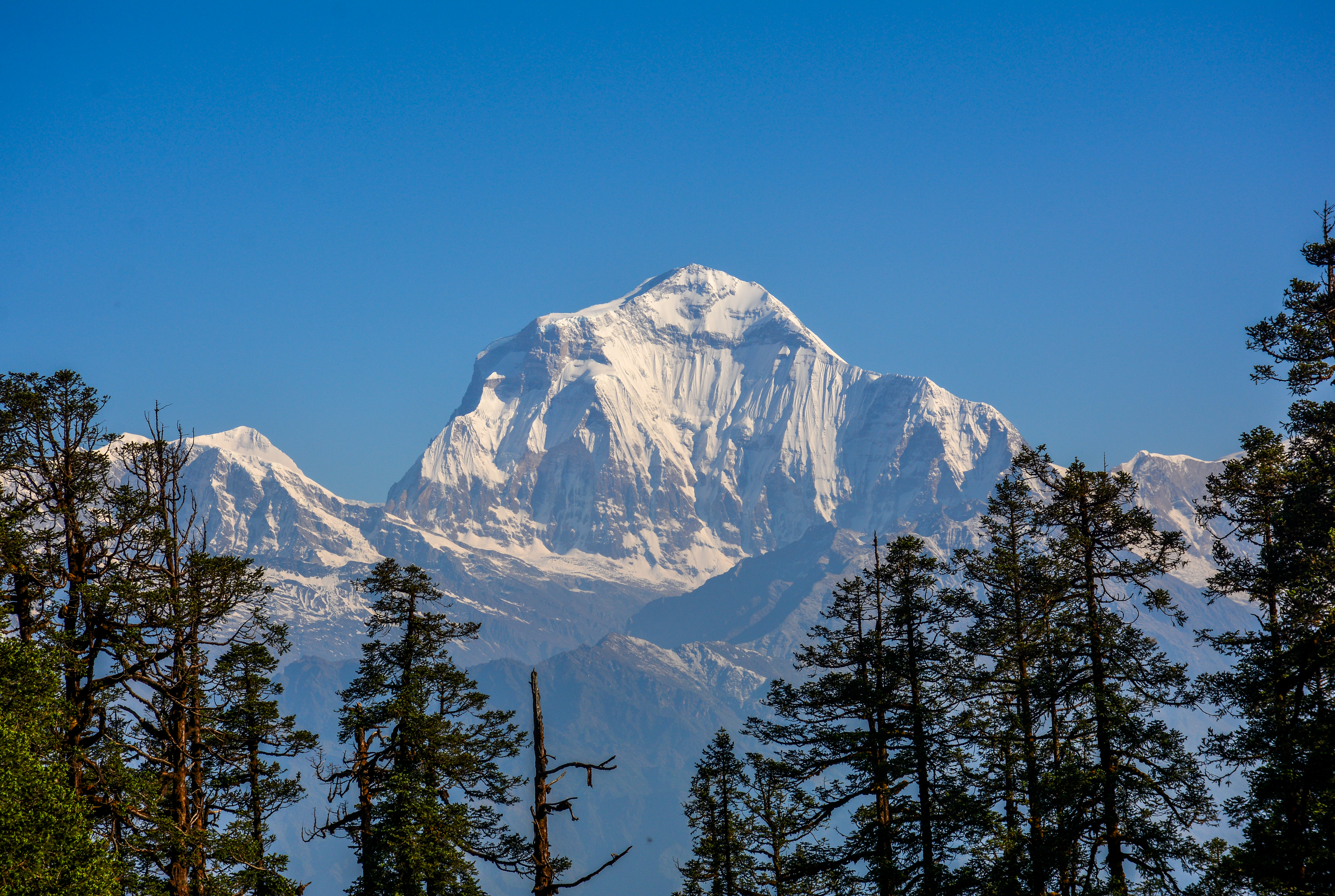 Mohare Danda Trek with Khopra Ridge and Khayar Lake - 14 Days